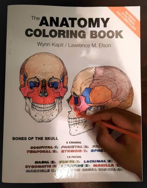 59. Anatomy colouring book   IC = 10 eur