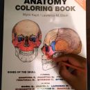 59. Anatomy colouring book   IC = 10 eur