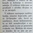 104g-1. Vsebina