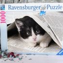 1. Puzzle Ravensburger, 1000 kosov   IC = 10 eur