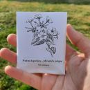 65a. Dodatna slika