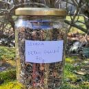 65b. Semena Ognjiča (Calendula officinalis), 70,75g  ICb1, b2 = 4 eur