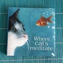 99. Where Cats Meditate   IC = 5 eur