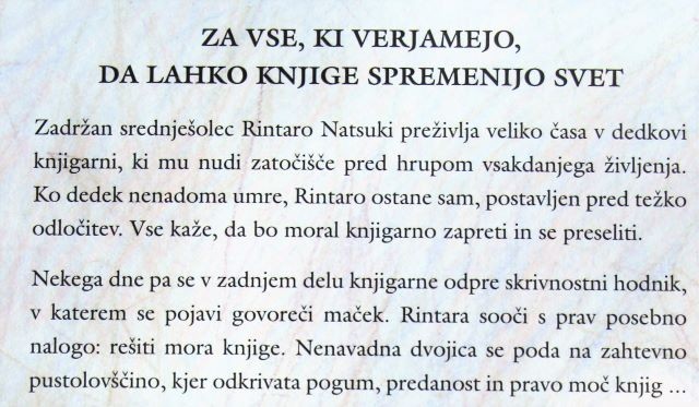96-1. Dodatna slika