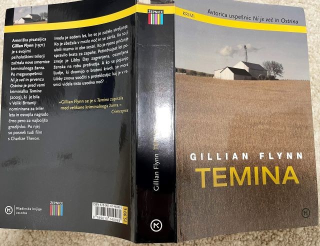 41a. TEMINA, Gillian Flynn   IC = 4 eur