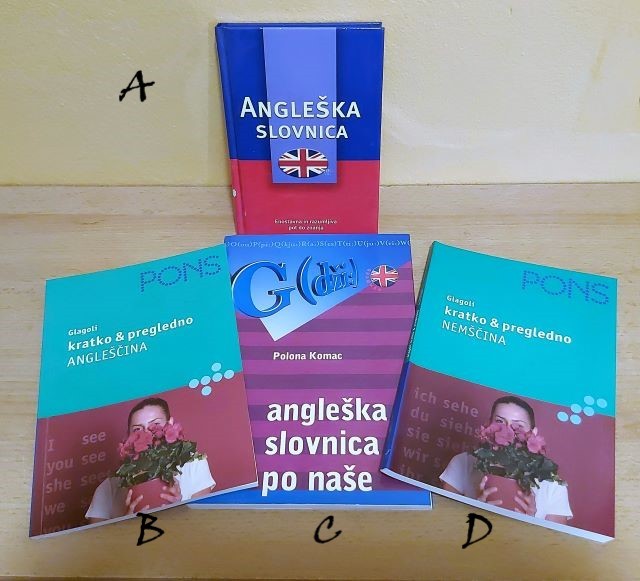 17. Slovnice in glagoli   ICa-d = 3 eur