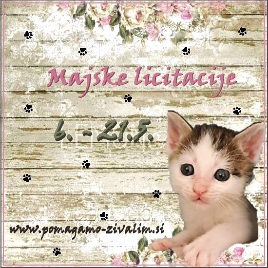 Glavna licitacijska tema