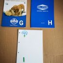 73g,h,i. Bloki 14 format   ICg,h,i = 2 eur