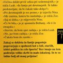 20a-1. Dodatna slika