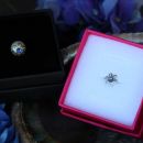 5a. Prstan (L) in obesek s Swarovski Elements   IC = 5 eur
