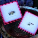 5c. Prstan (M) in obesek s Swarovski Elements   IC = 5 eur
