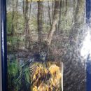 56f. Vlado Žabot – Nimfa   IC = 2 eur