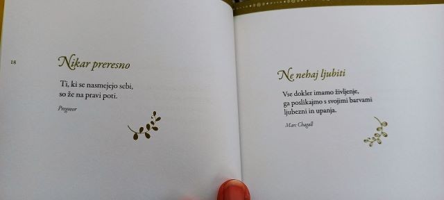 Slika