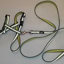106b. Nobby oprsnica Mini Reflect 25-35 cm + povodec Mini Reflect 120 cm IC = 4 eur