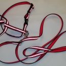 106c. Nobby oprsnica Mini Reflect  25-35 cm + povodec Mini Reflect 120 cm  IC = 4 eur
