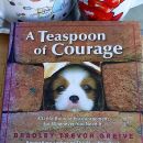 138. A Teaspoon of Courage   IC = 3 eur