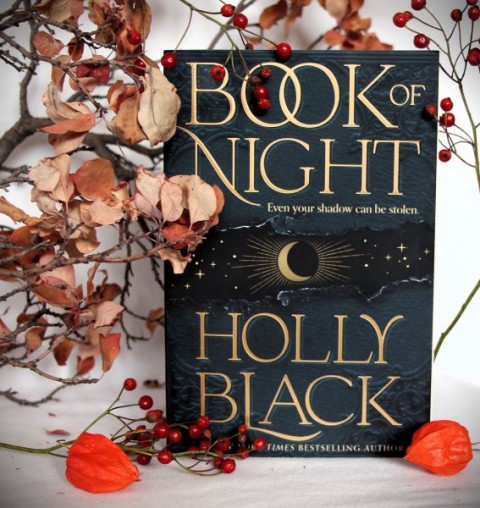 18. BOOK of NIGHT, Holly Black   IC = 5 eur