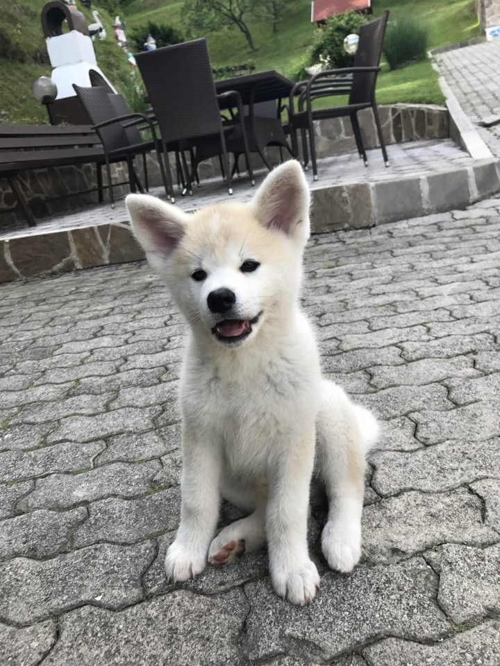 10.11.6 - foto povečava