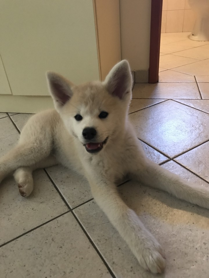 10.11.6 - foto povečava