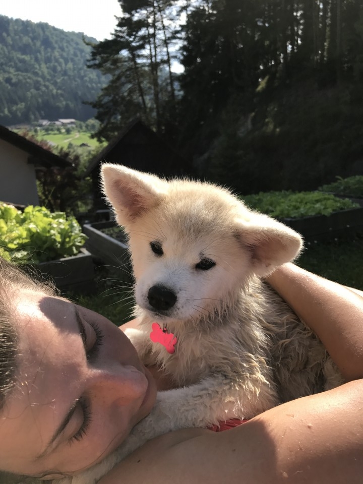 10.11.6 - foto povečava