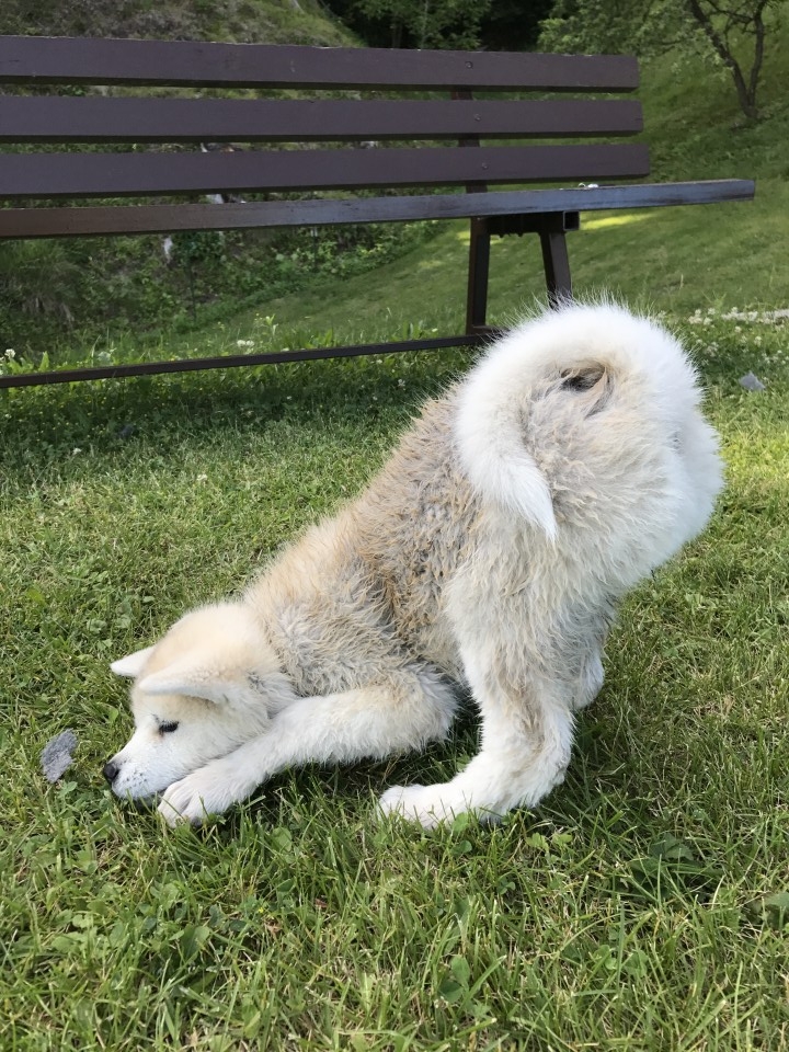 10.11.6 - foto povečava