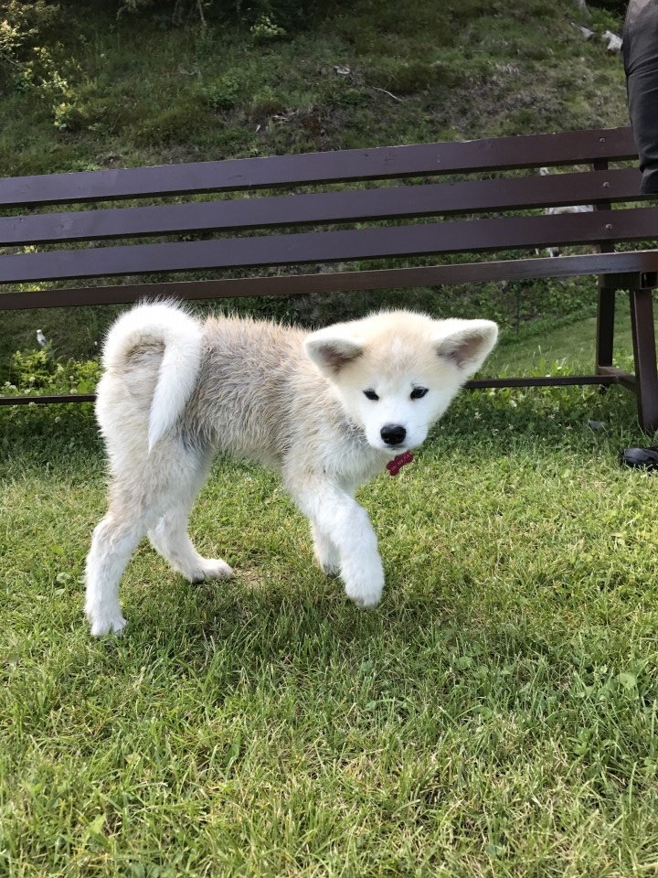 10.11.6 - foto povečava