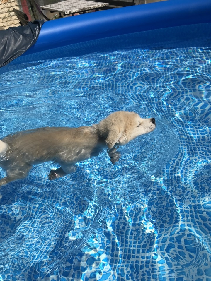 10.11.6 - foto povečava