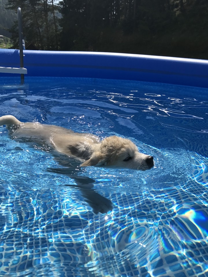 10.11.6 - foto povečava