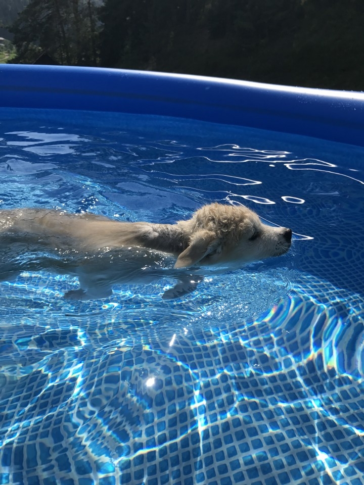 10.11.6 - foto povečava