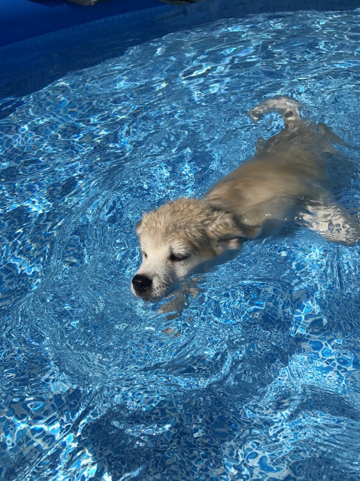 10.11.6 - foto povečava