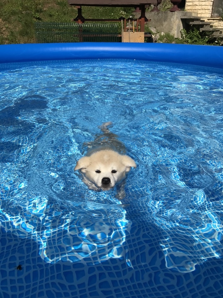 10.11.6 - foto povečava