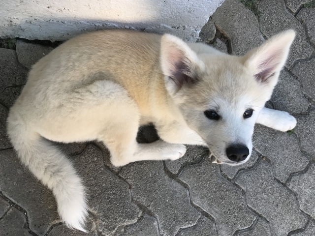 Poletje 2o17 - foto