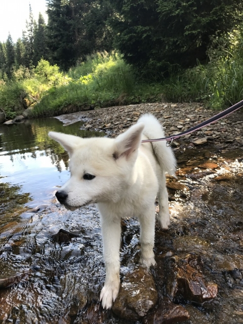 Poletje 2o17 - foto