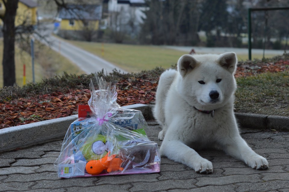 December 2o17 - foto povečava