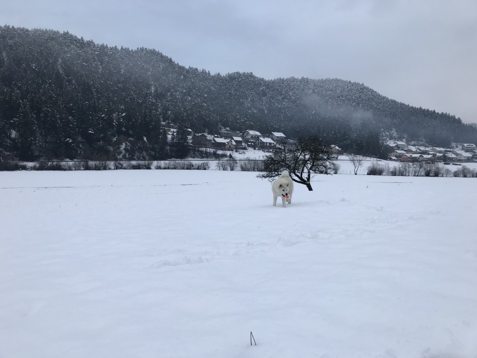 December 2o17 - foto povečava