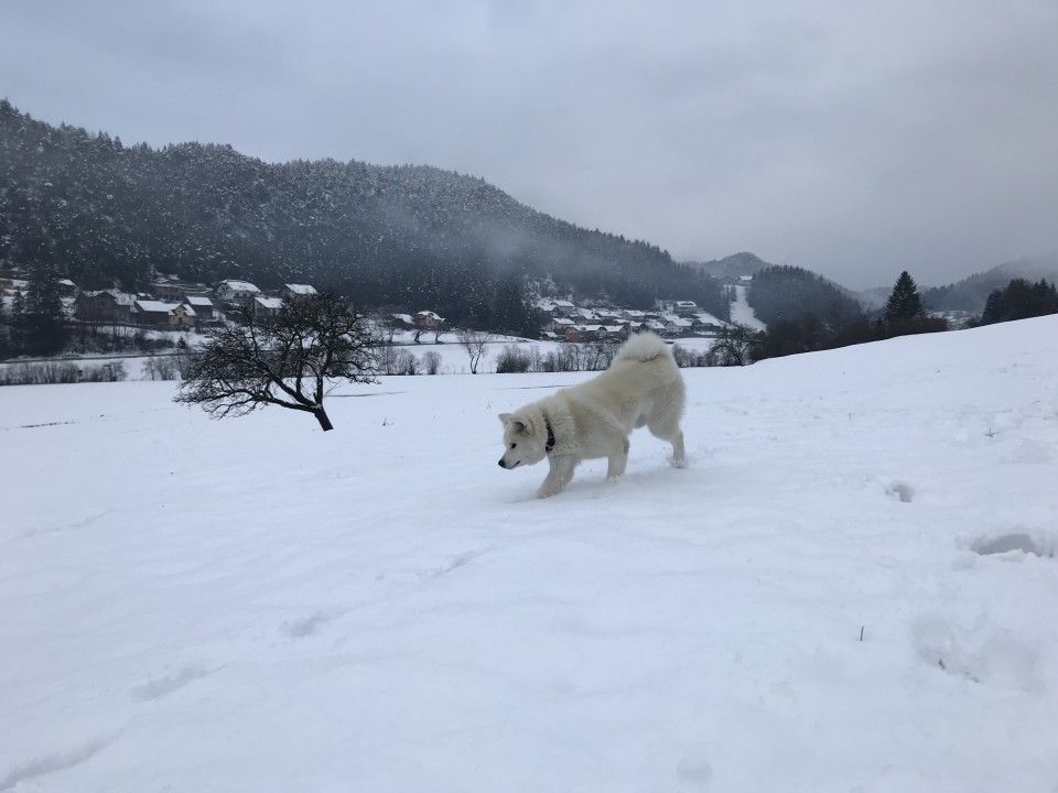 December 2o17 - foto povečava