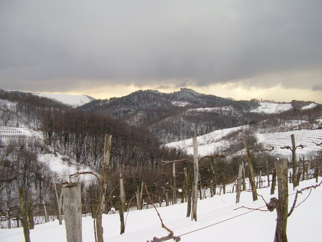 Zima na primorskem - foto povečava