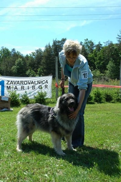 Bojana Očko in Biba