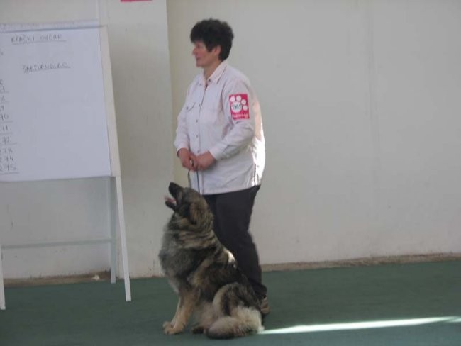 CACIB Zagreb 2006 - foto povečava