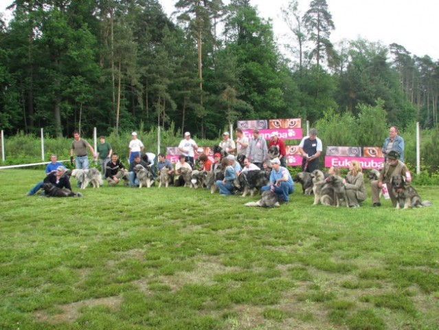 Društvena CAC razstava KO 2006 - foto