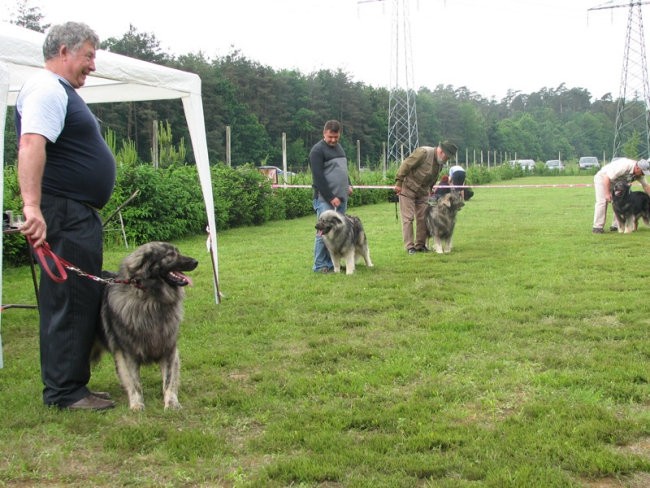 Društvena CAC razstava KO 2006 - foto povečava