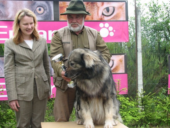 Društvena CAC razstava KO 2006 - foto povečava