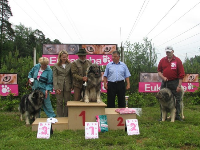 Društvena CAC razstava KO 2006 - foto povečava