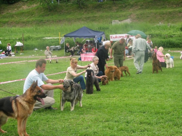 CAC Hrušica 2006 - foto