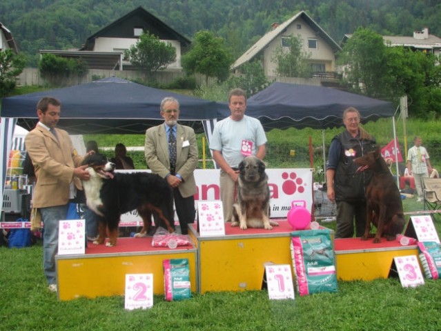 CAC Hrušica 2006 - foto