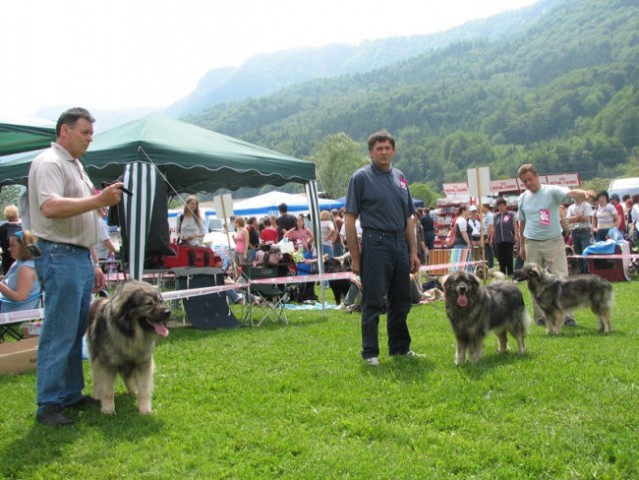 CAC Hrušica 2006 - foto