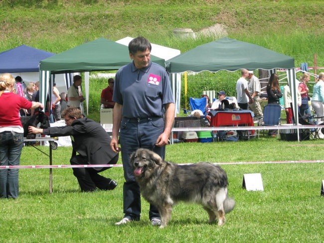 CAC Hrušica 2006 - foto povečava