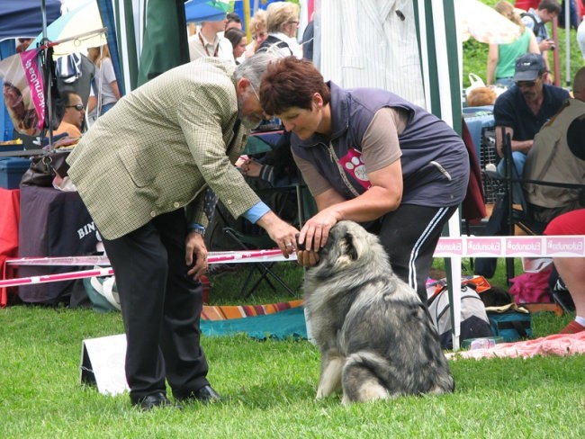 CAC Hrušica 2006 - foto povečava