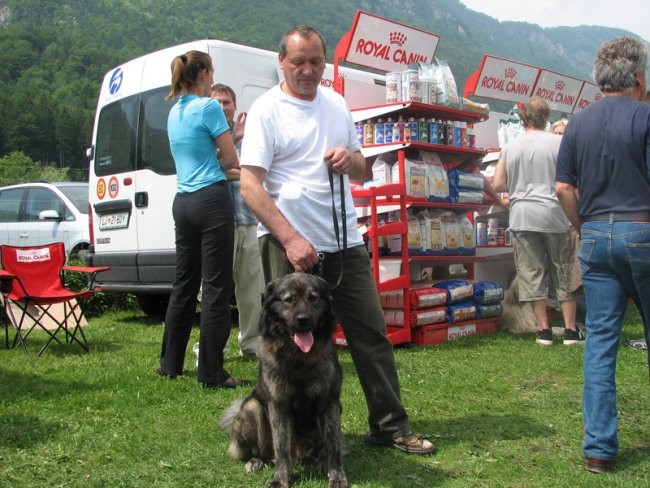 CAC Hrušica 2006 - foto povečava