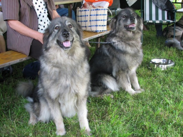 CAC Hrušica 2006 - foto